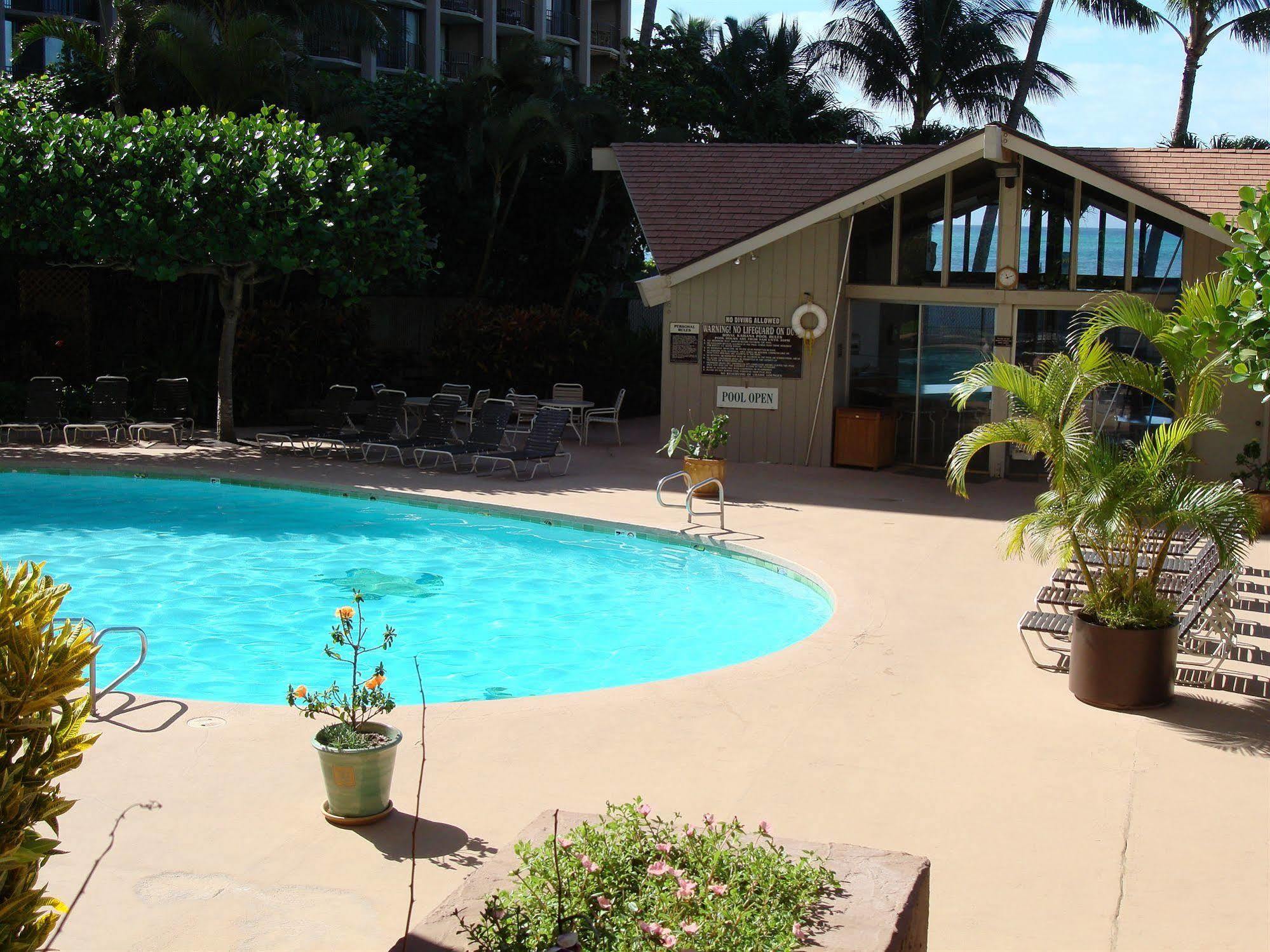 Ocean View Suite At Royal Kahana Esterno foto